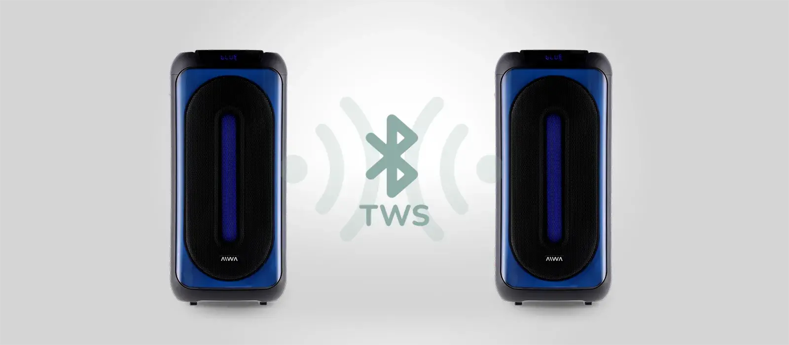True Wireless Stereo