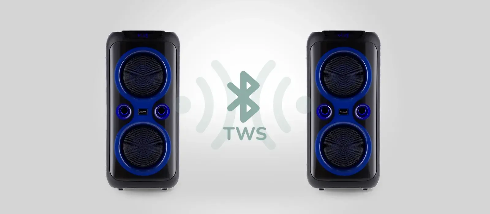 True Wireless Stereo