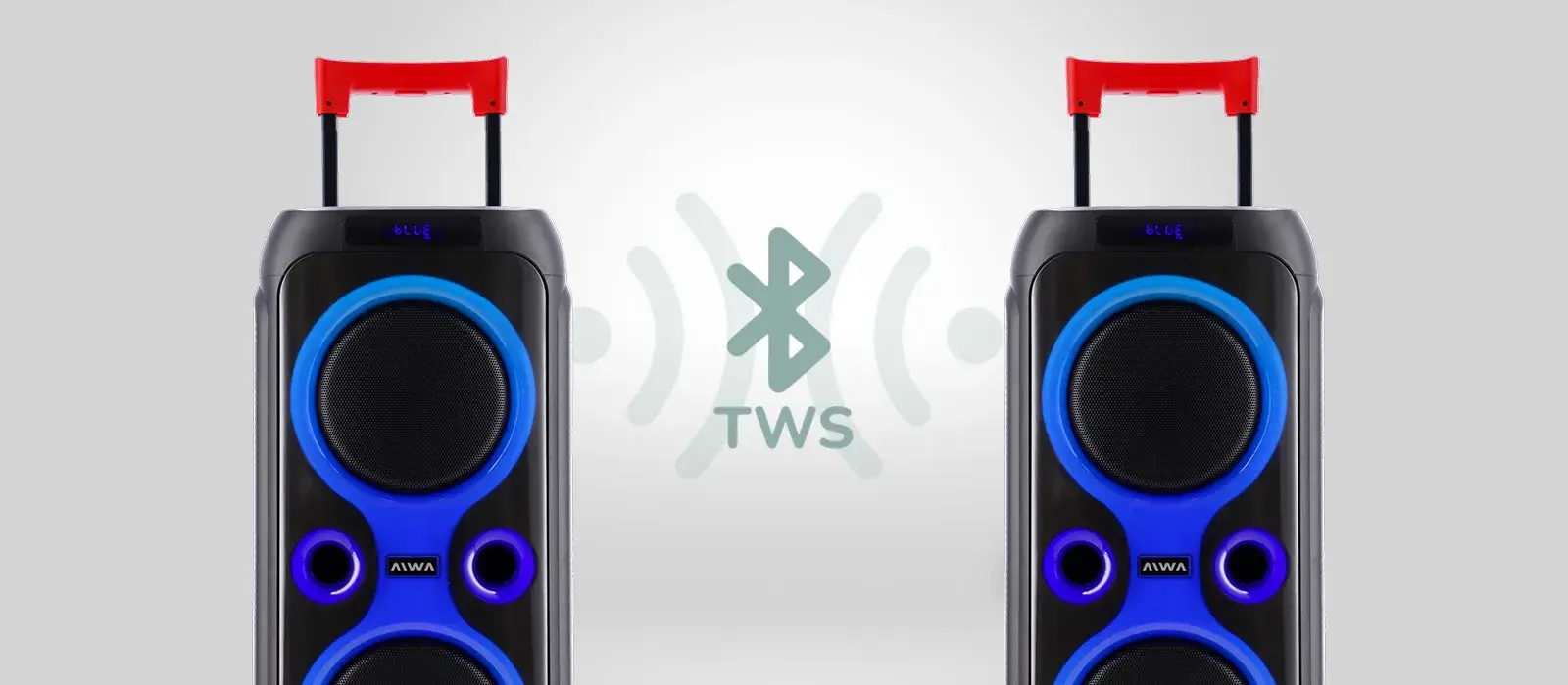 True Wireless Stereo